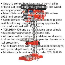 16-Speed Bench Pillar Drill 650W Motor 1070mm Height Safety Release Switch