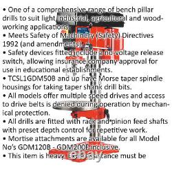 16-Speed Bench Pillar Drill 750W Motor 1085mm Height Safety Release Switch